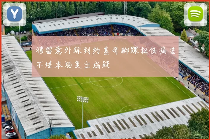 穆雷意外踩到约基奇脚踝扭伤痛苦不堪本场复出成疑